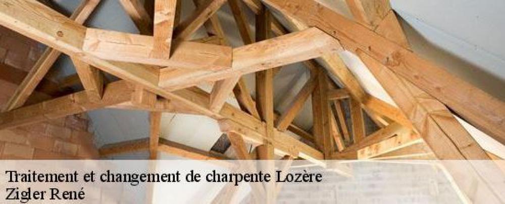 Zigler René expert en traitement de charpente en Lozère 48