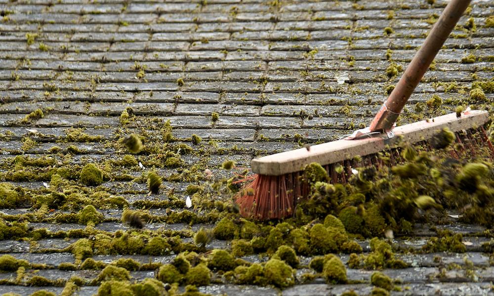 Couvreur charpentier Lot expert